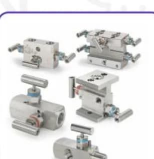 ASTAVA MANIFOLDS